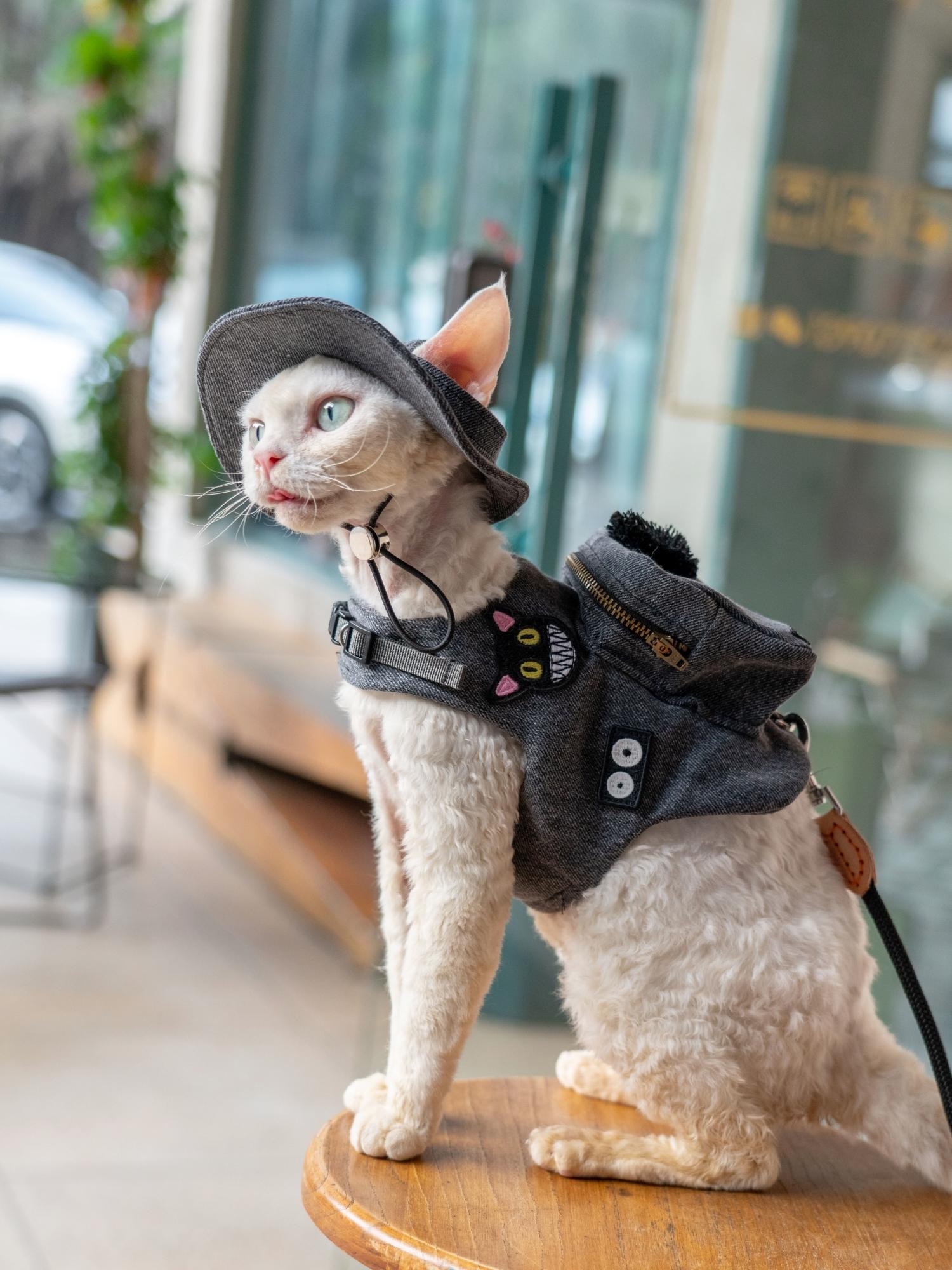 Sac à Dos de Voyage de Luxe Fa - Luxury Bags Cute avis et prix